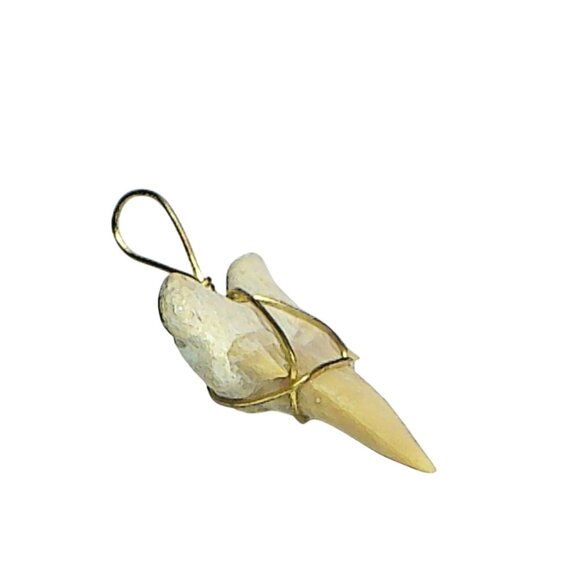 Vintage Fossilized Mako Shark Tooth Pendant Wrapped In Bronze Wire - Picture 4 of 5